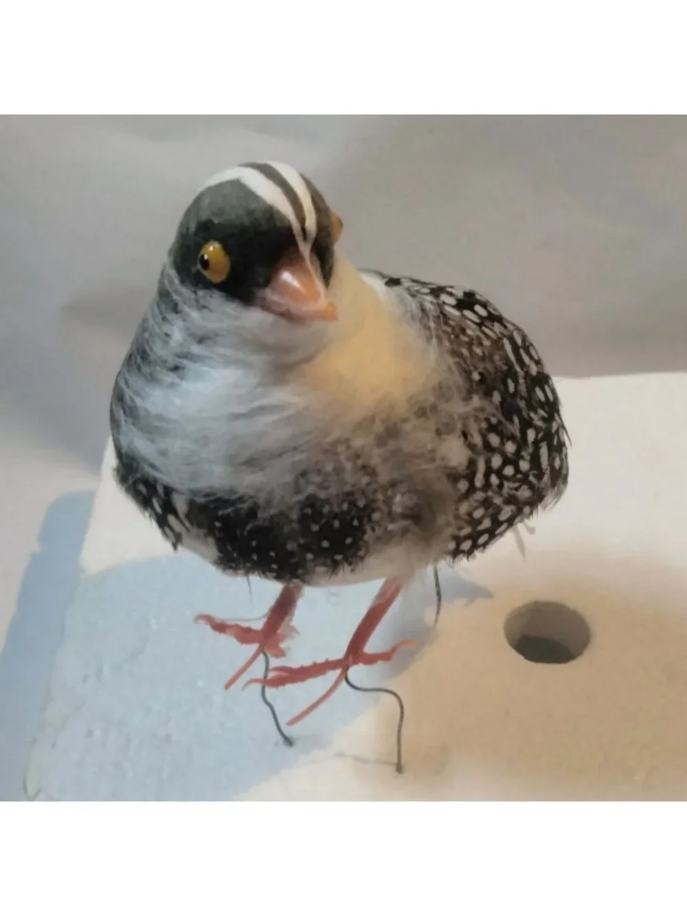 Decorative Faux Bird Figurine Quail Partridge Feathers Lot 3